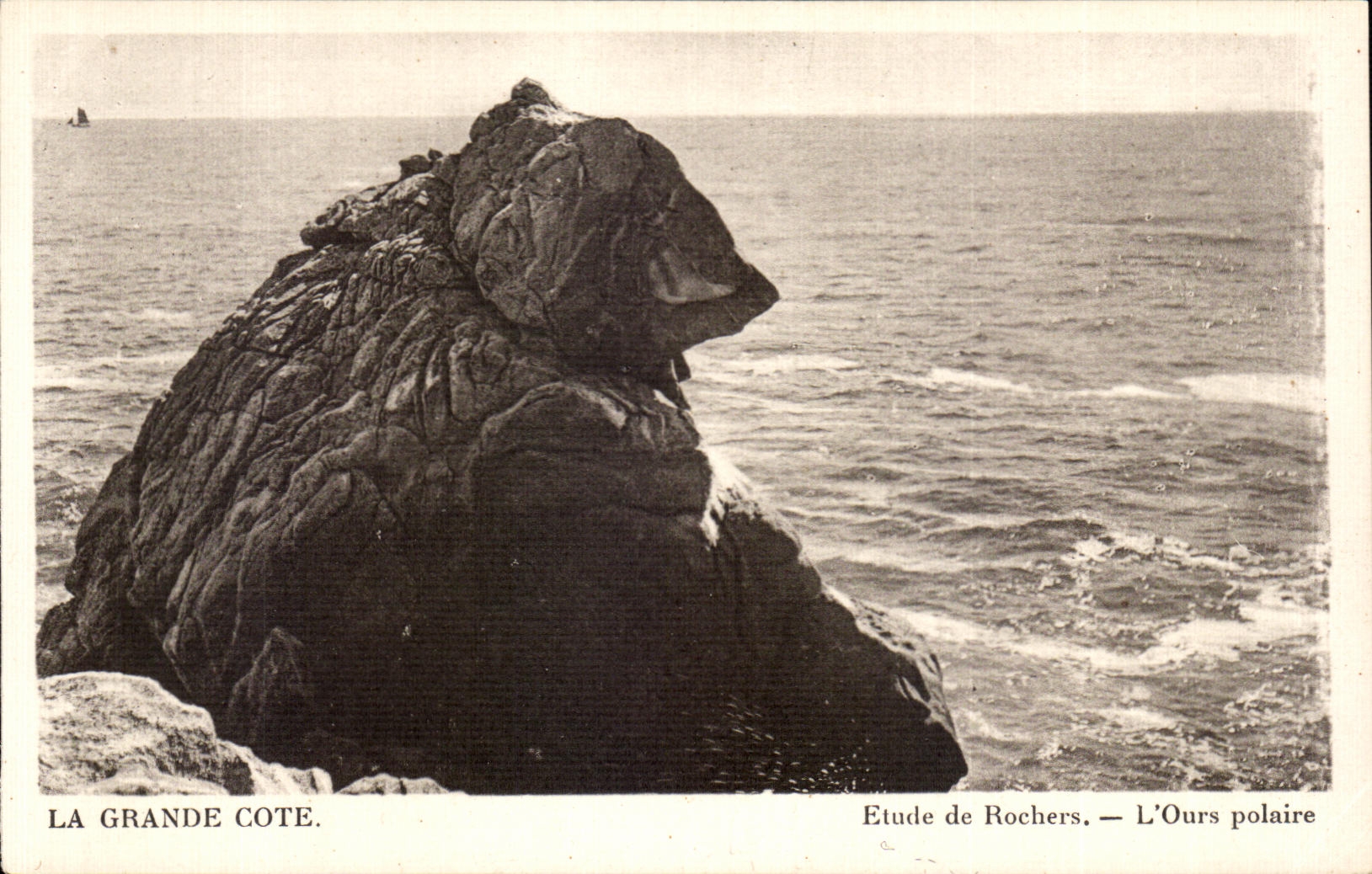 CPA La Grande Cote Etude de Rochers L Ours polaire