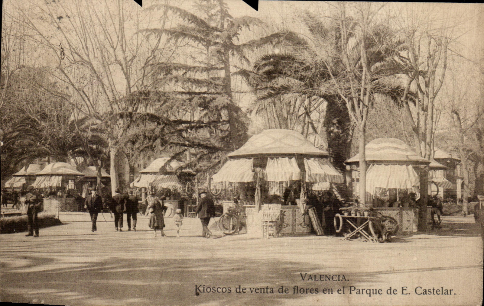 CPA Valencia Kioscos de venta de Flores en el Parque de E Castelar