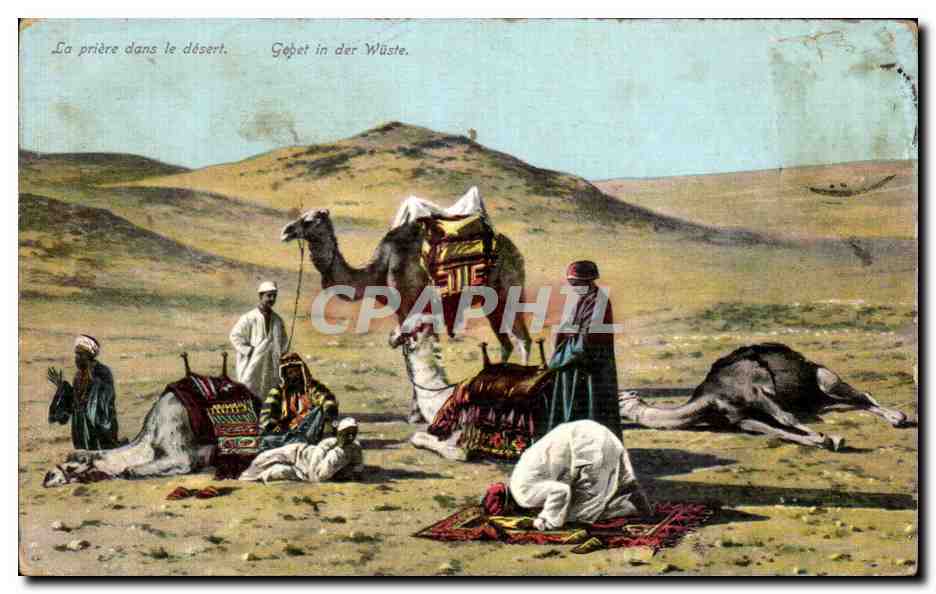 CPA La priere dans le desert Gebet in der Wuste Chameau Camel Maroc 