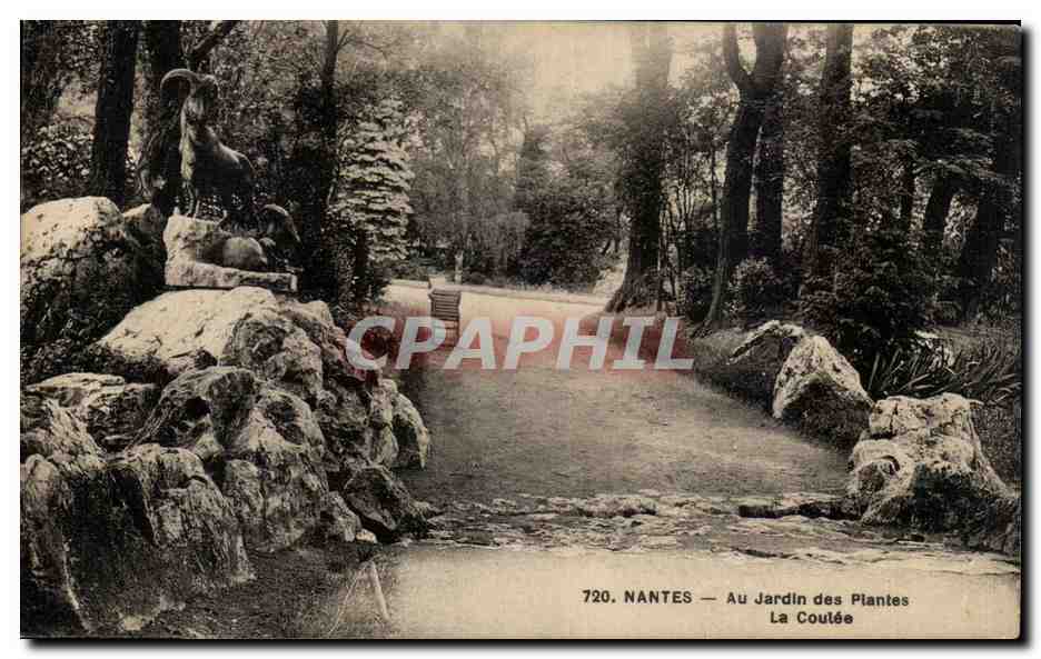 CPA Nantes Au Jardin des Plantes La Coulee chamois