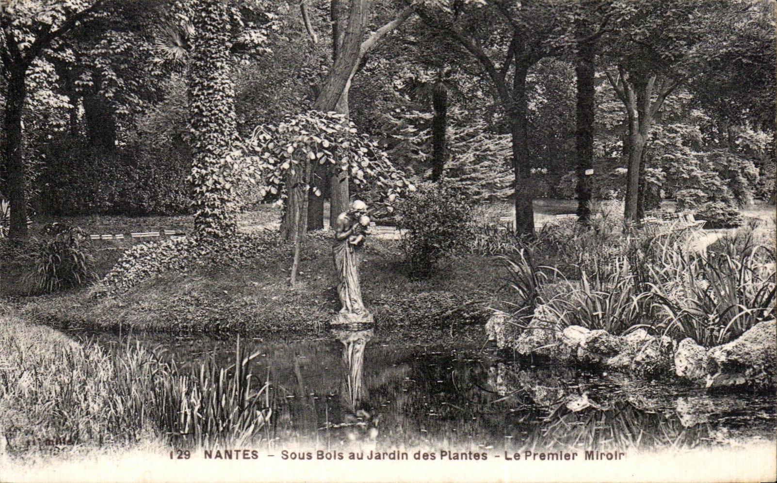 CPA Nantes Sous Bois au jardin des Plantes Le Premier Miroir