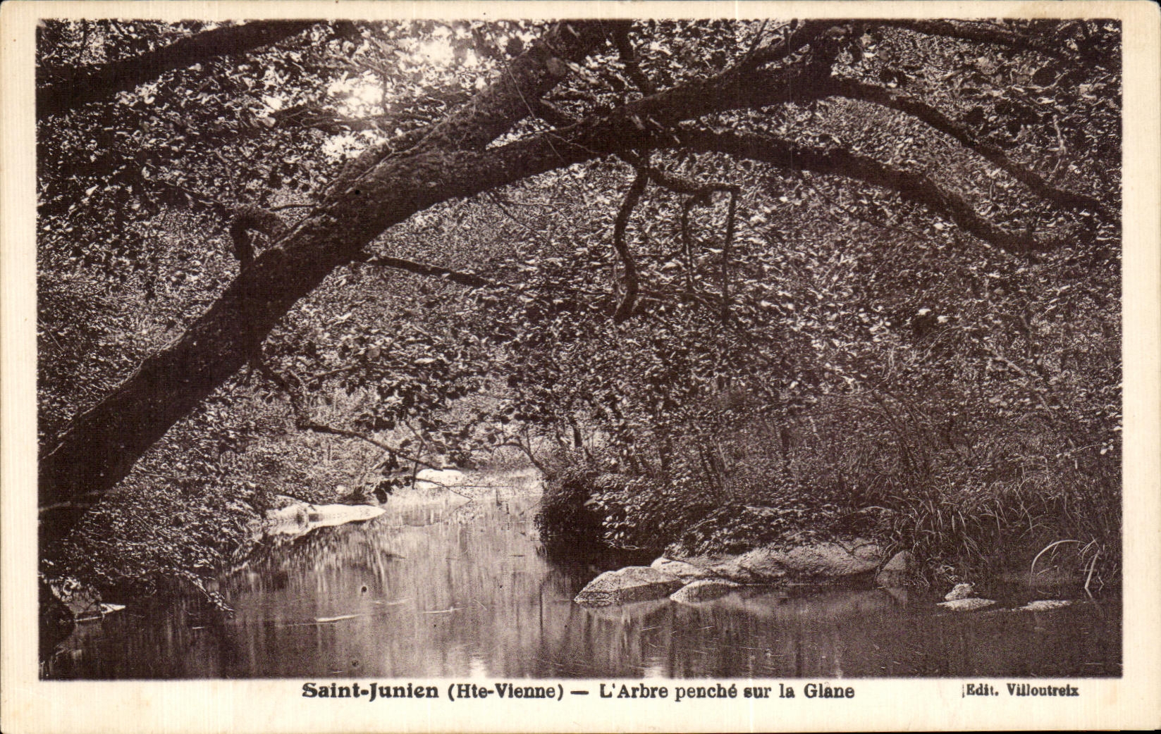 CPA Saint Junien L Arbre penche sur la Glane