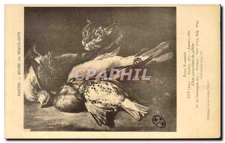 CPA Nantes Musee Des Beaux Arts Ecole flamande Chat convoitant du gibier