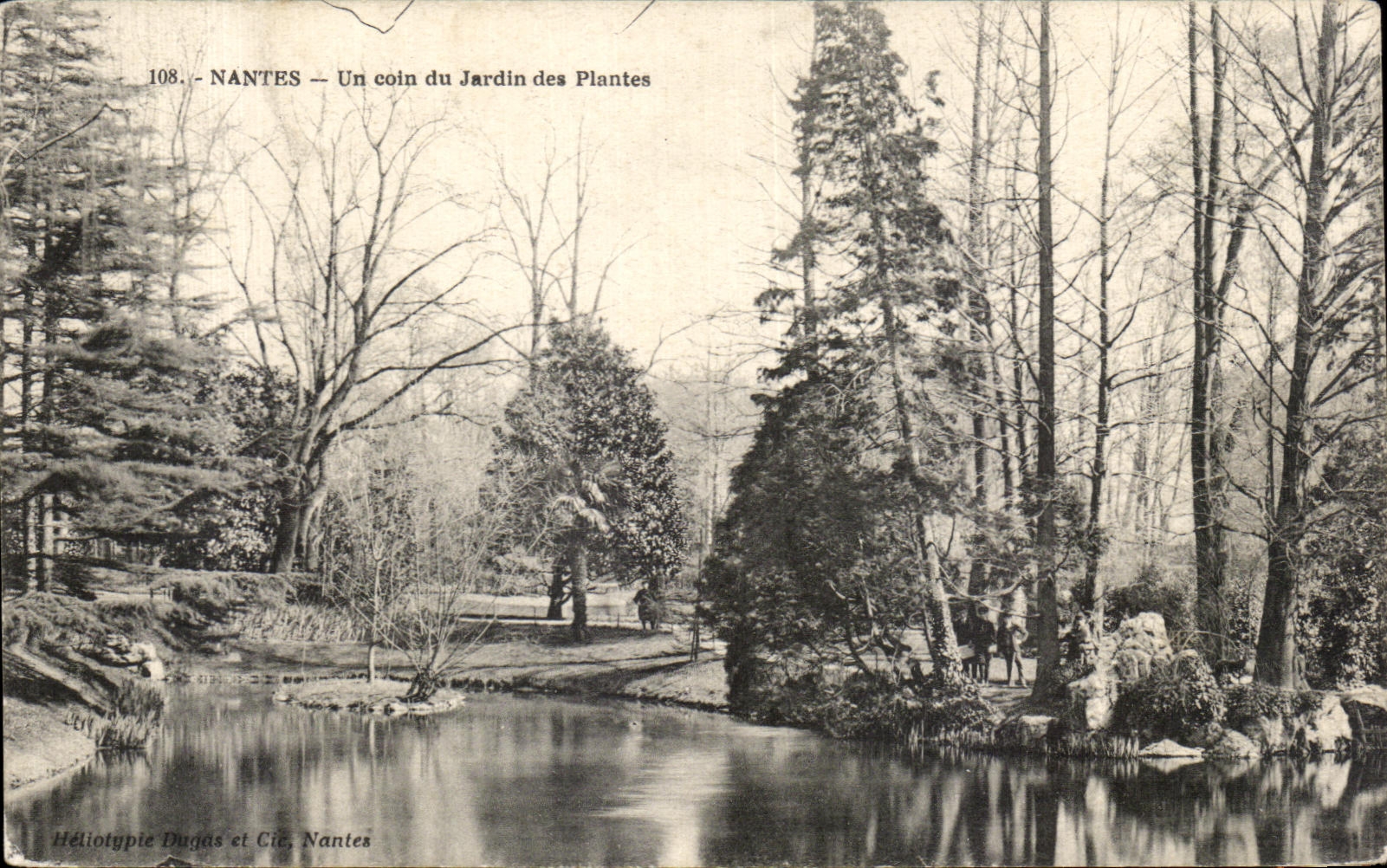 CPA Nantes Un coin du Jardin des Plantes