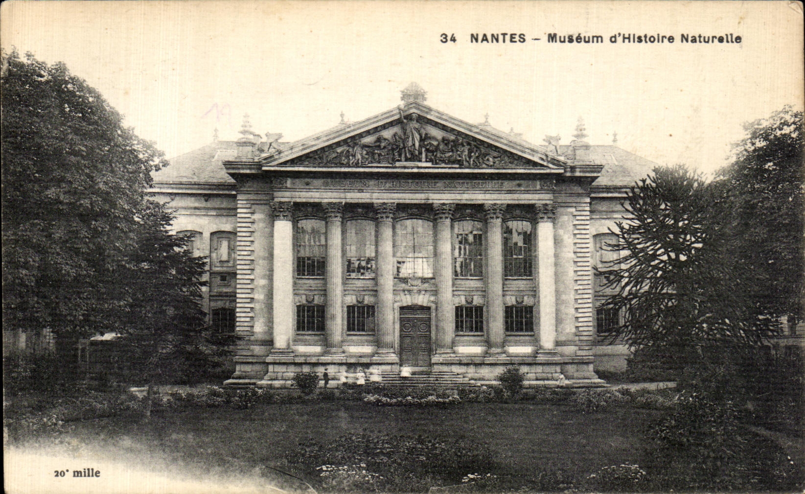 CPA Nantes Museum d Histoire Naturelle
