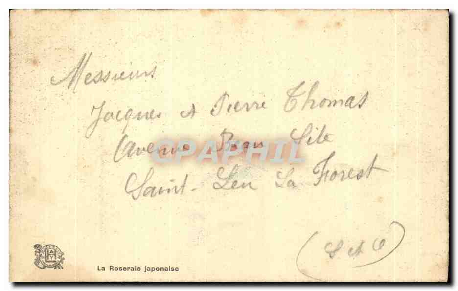 CPA La Roserale Japonalse — Rückseite