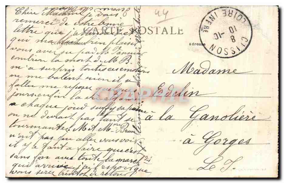CPA Nantes Museum d Histoire naturelle — Rückseite