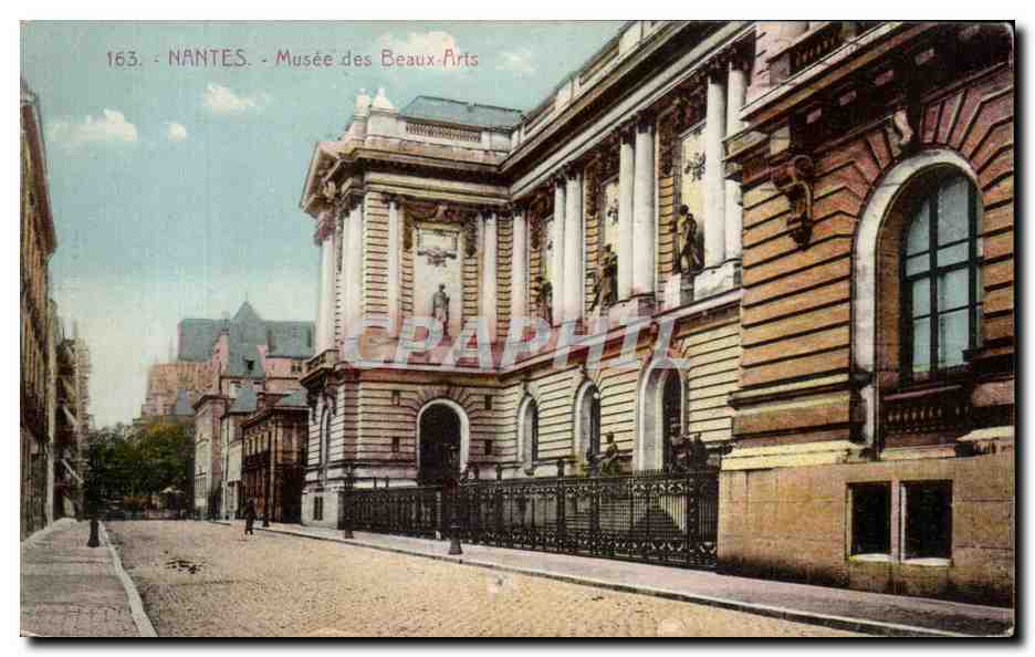 CPA Nantes Musee des Beaux Arts