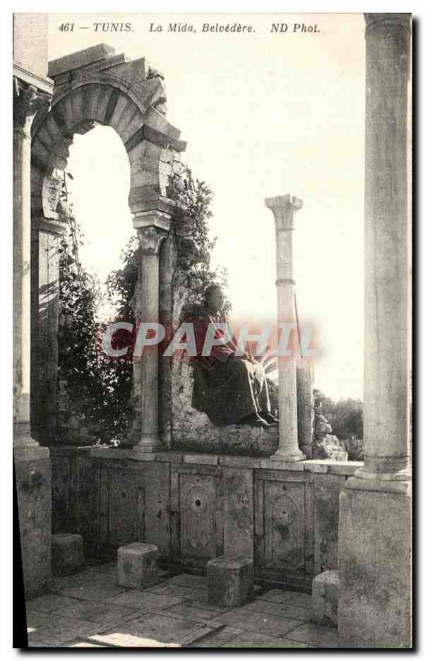 CPA Tunisie Tunis La Mida Belvedere