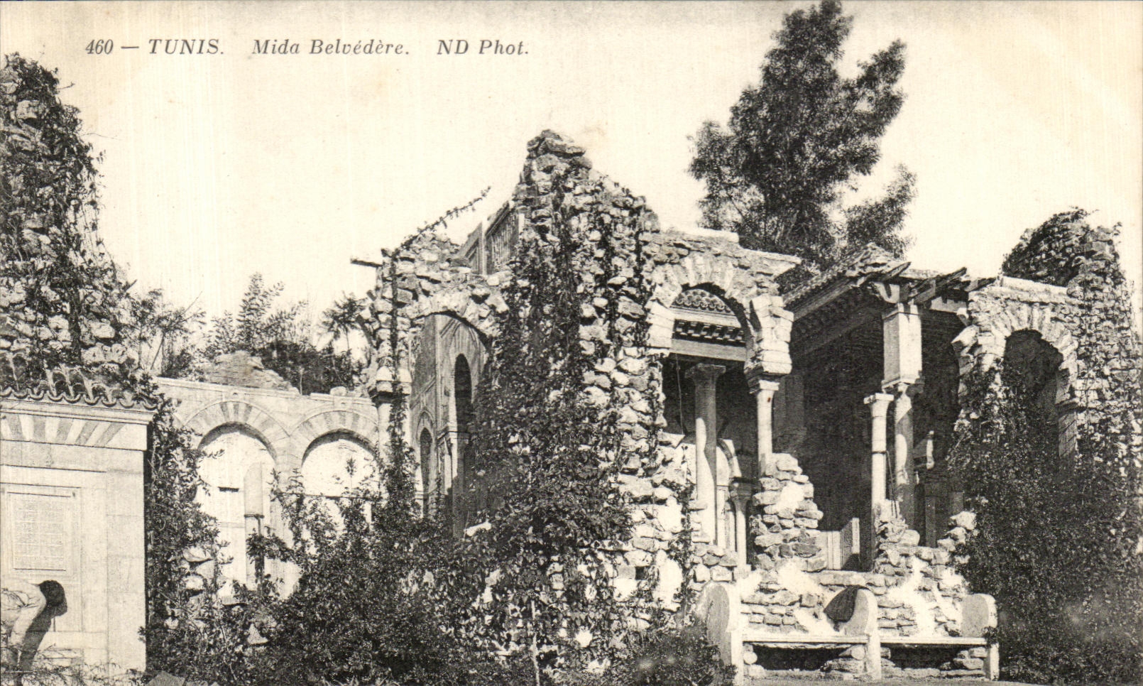 CPA Tunisie Tunis Mida Belvedere