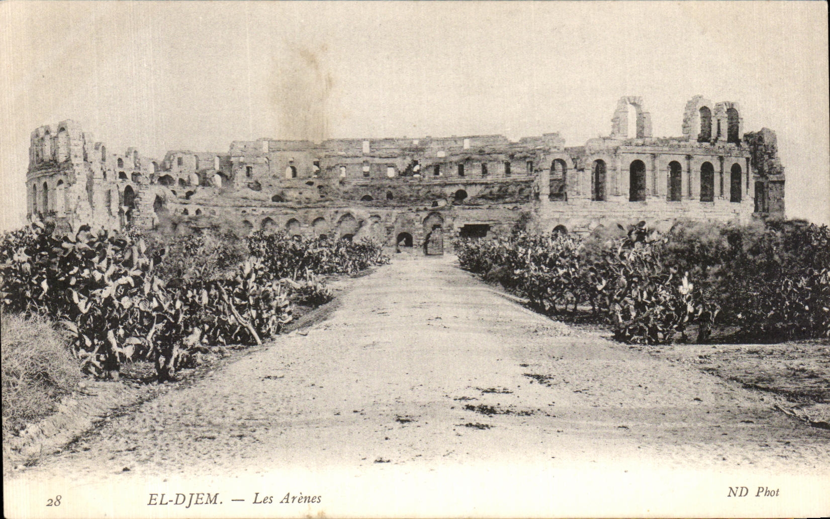 CPA Tunisie El Djem Les Arenes