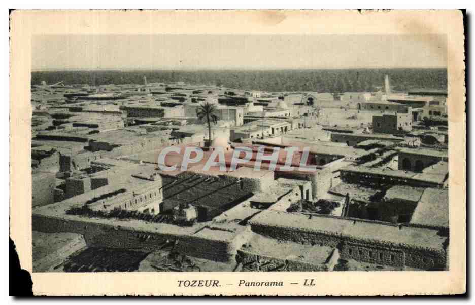 CPA Tunisie Tozeur Panorama