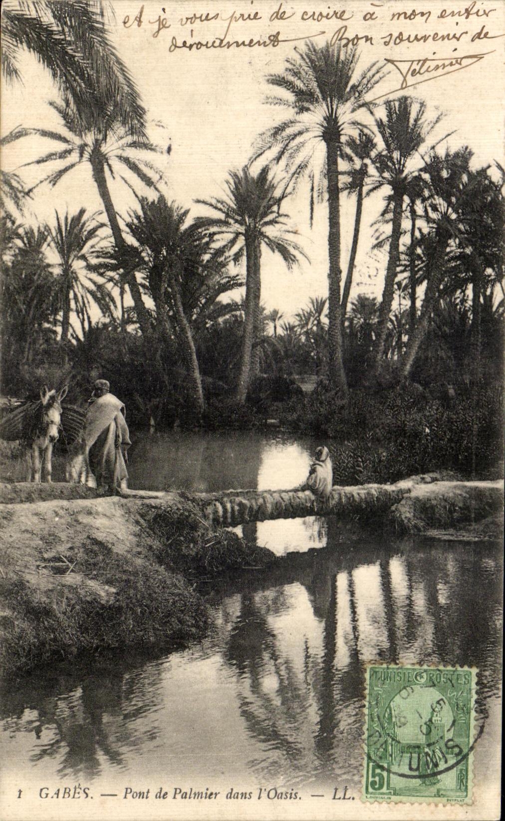 CPA Tunisie Gabes Pont de Palmier dans I Oasis Ane
