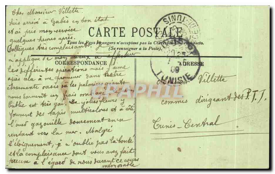CPA Tunisie Gabes Pont de Palmier dans I Oasis Ane — Verso