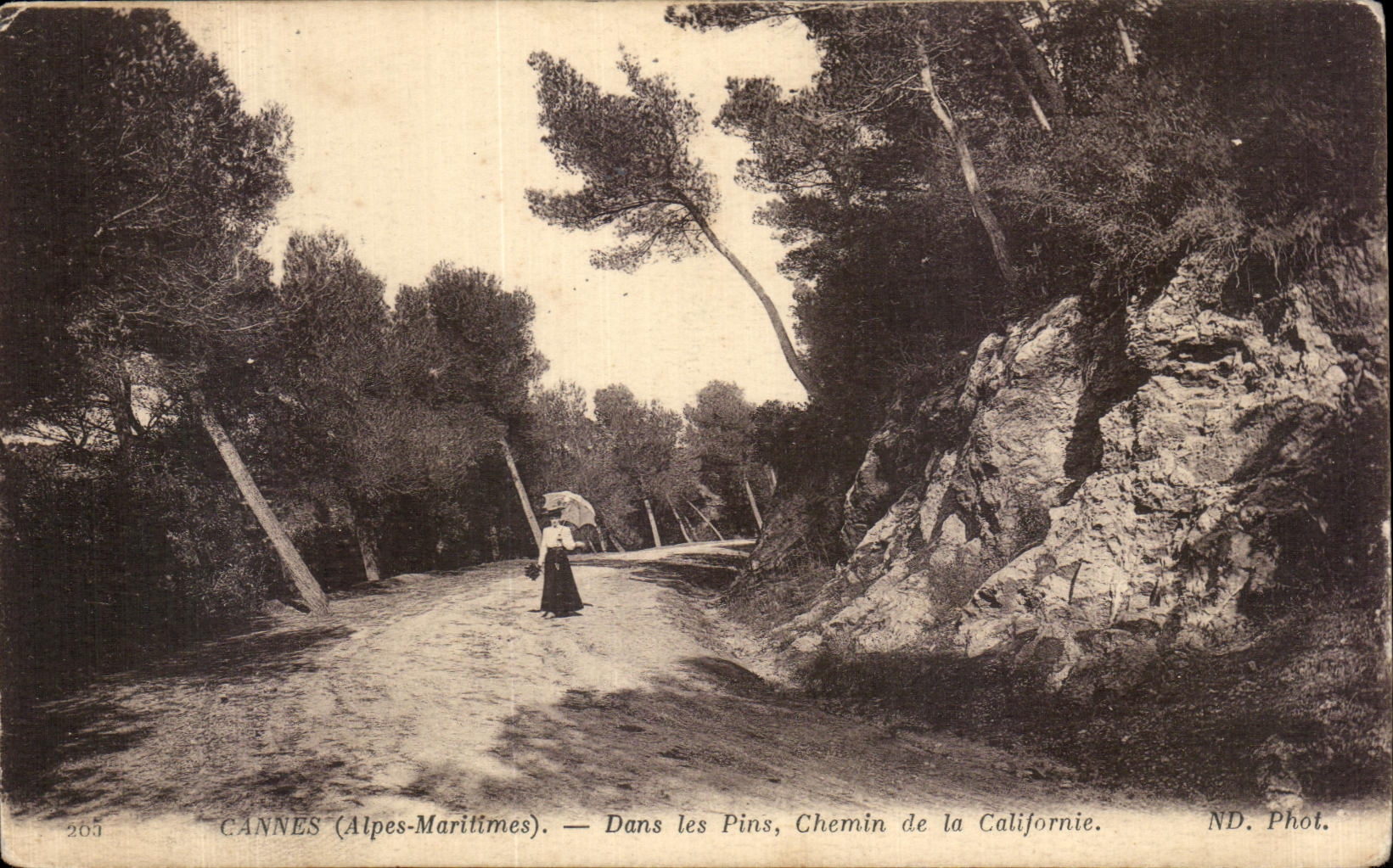 CPA Cannes Dans les Pins Chemin de la Californie