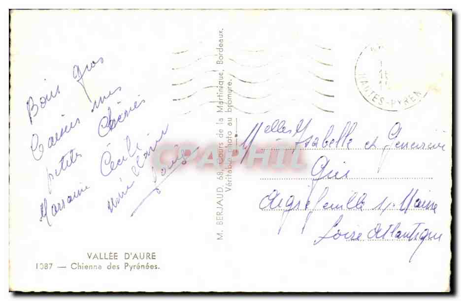 CPA Vallee D Aure Chienne des Pyrenees Dog — Rückseite