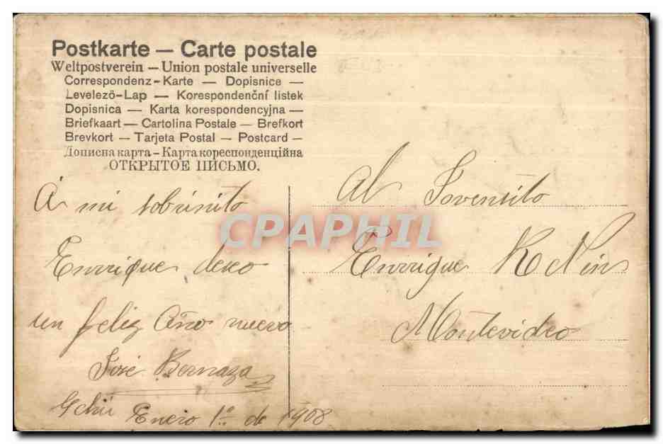 CPA Oiseaux Birds Cygnes Swan Femme — Verso
