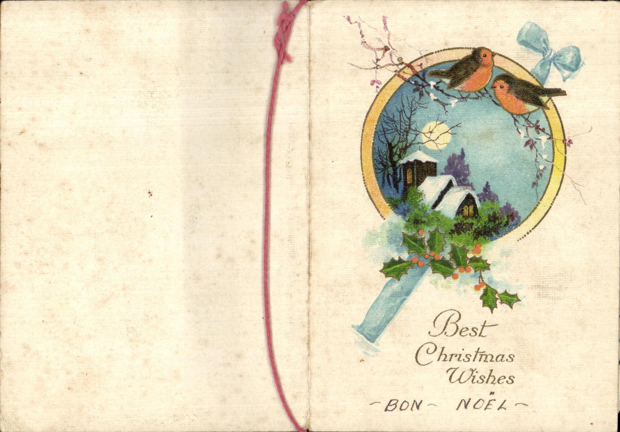 CPA Best Christmas Wishes Bon Noel christmas oiseau 