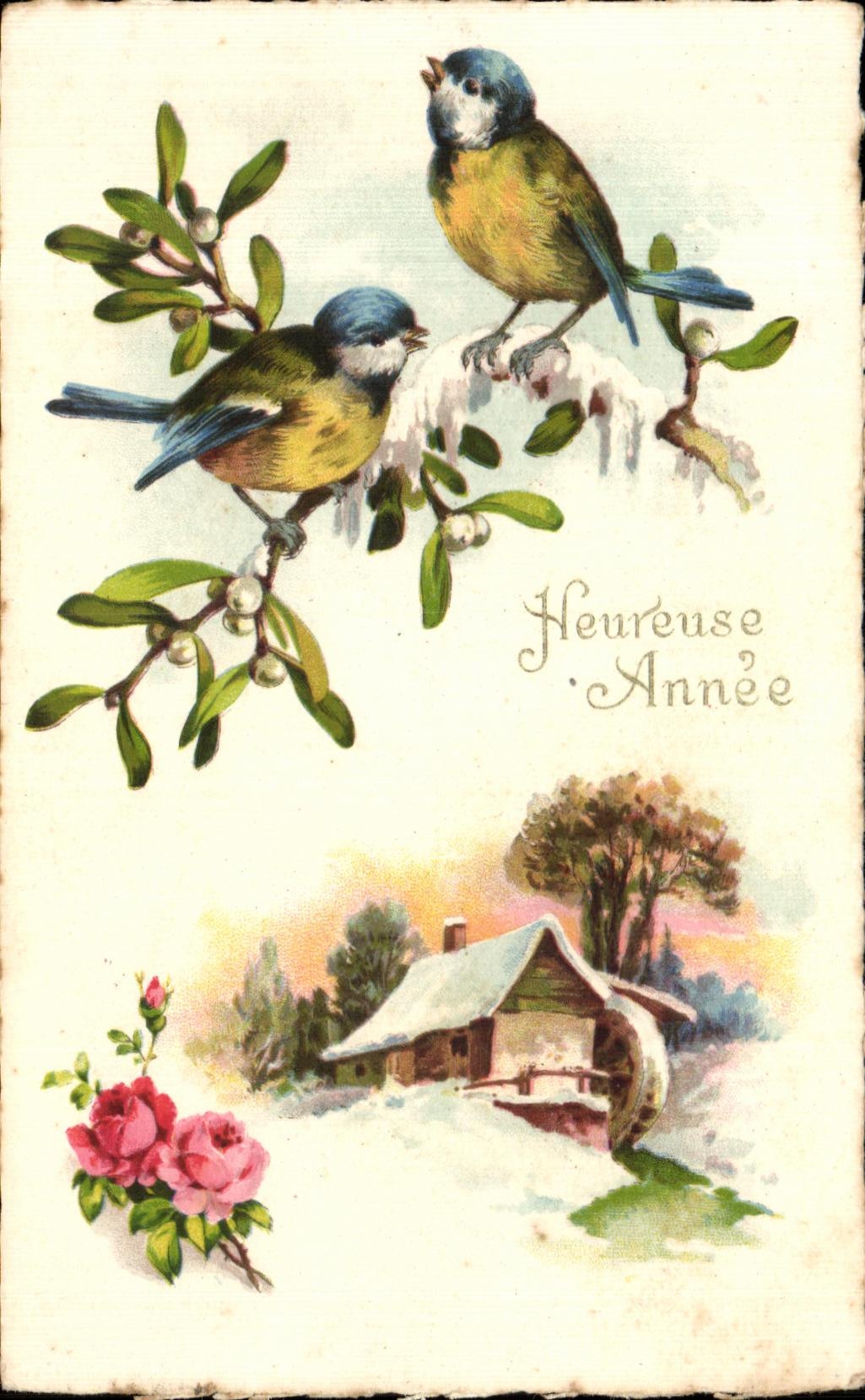CPA Heureuse Annee Oiseaux Birdcs