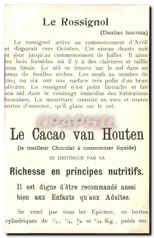 CPA Oiseaux Birds Chocolat Van Houten Cacao — Rückseite