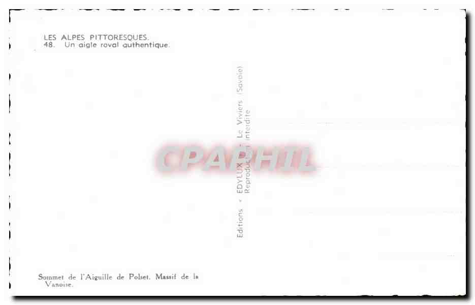 CPA Les Alpes Pittoresques Aige royal Eagle — Rückseite