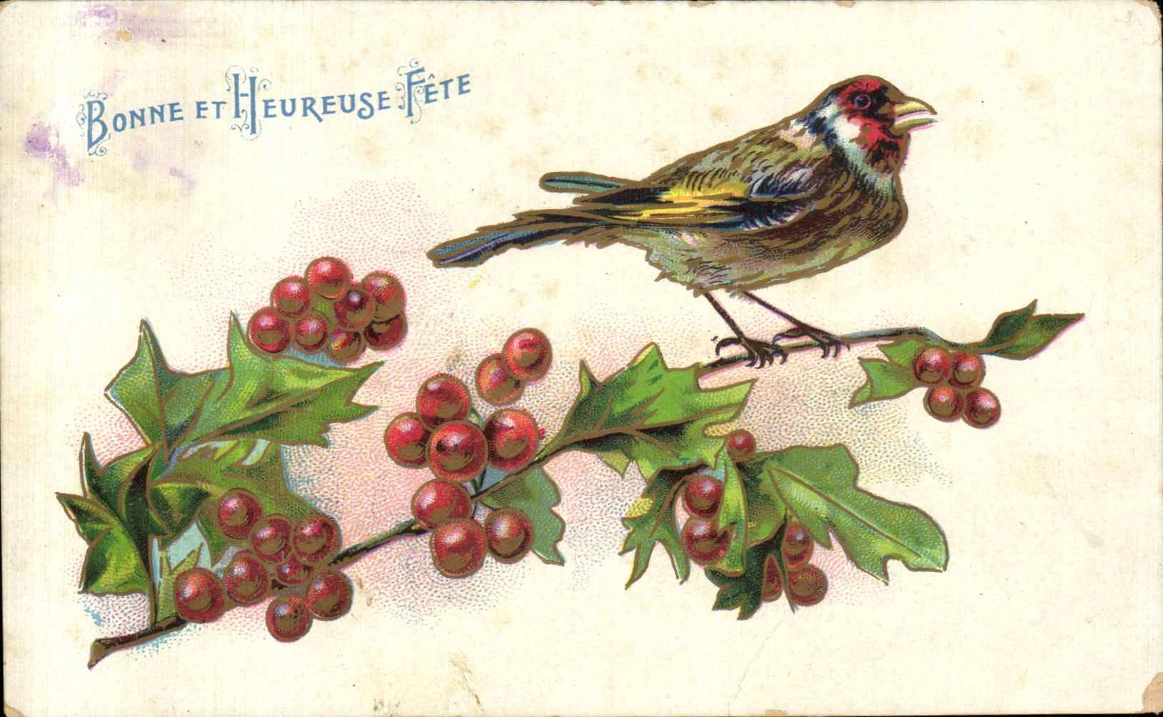 CPA Oiseaux Birds Bonne et heureuse annee