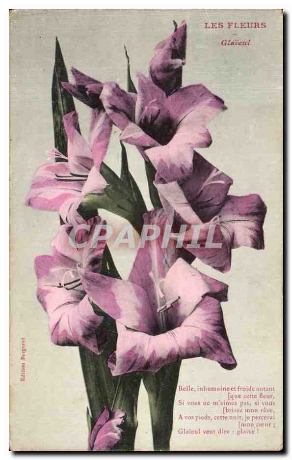 CPA Fantaisie Fleur Les Fleurs Glaieal