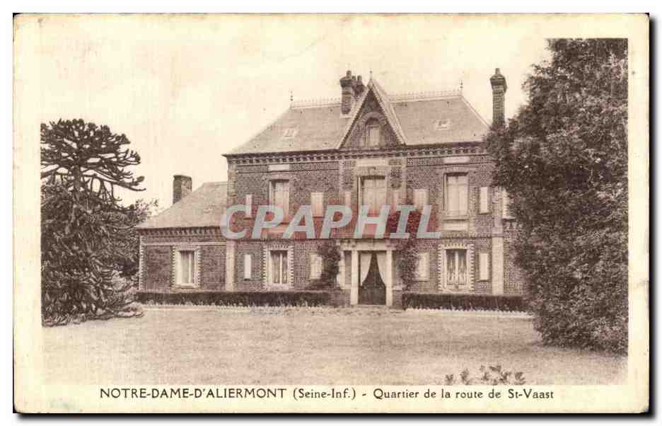 CPA Notre Dame D Aliermont Quartier de la route de St Vaast