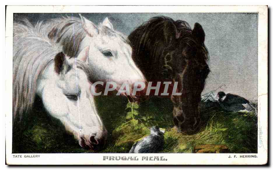CPA Tate Gallery Frugal Meal Cheval horse Herring