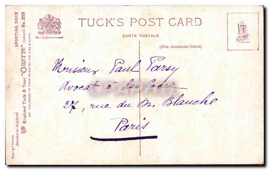 CPA Setter Partridge Chien et canard Dog — Back