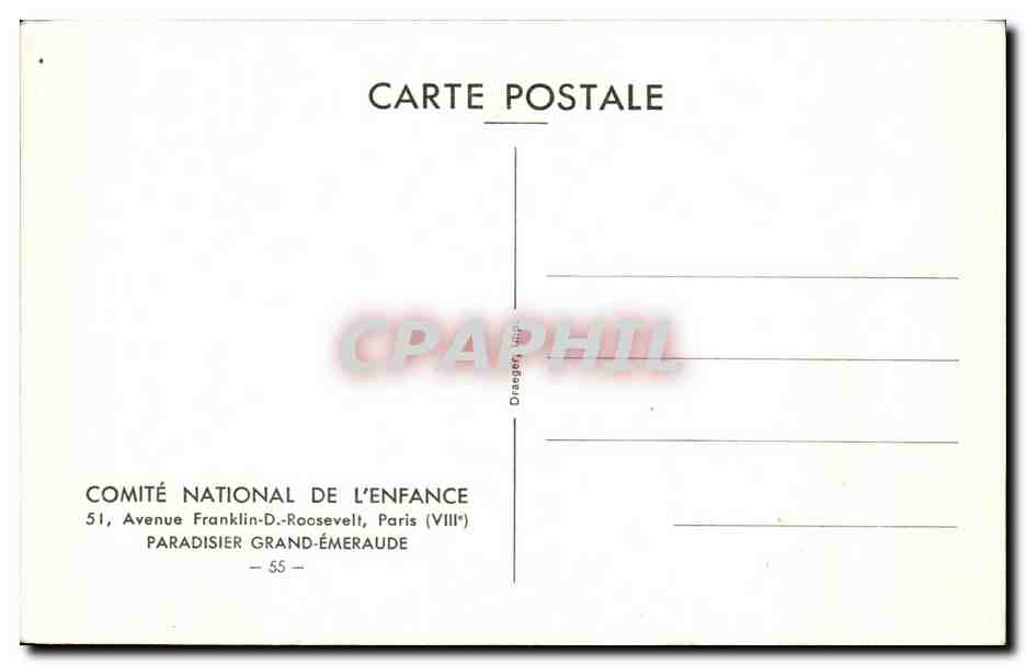 CPA Paradisier Grand Emeraude oiseau bird — Verso