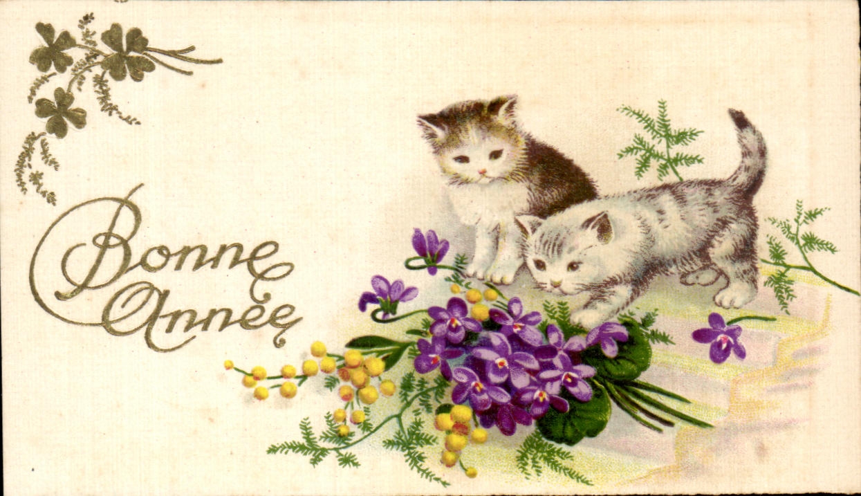 CPA Bonne Annee Fantaisie chats