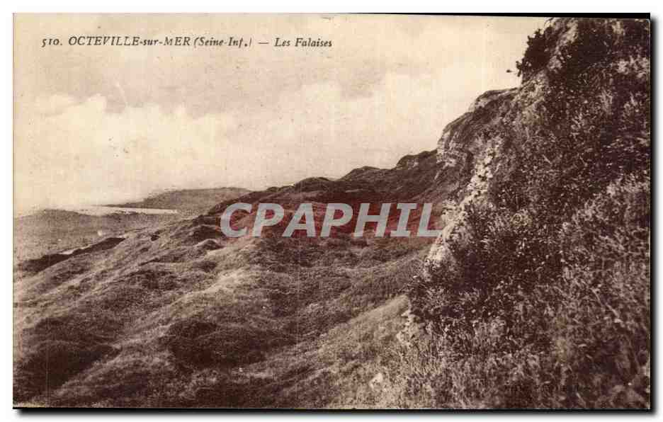 CPA Octeville Sur Mer (Seine Int) Les Falaises