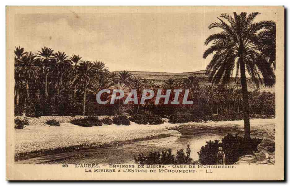 L'AURÈS — Environs de Biskra — Oasis de M'Chouneche — La rivière à l'entrée de M'Chouneche — LL