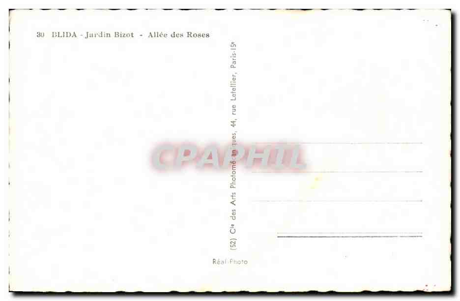 CPA Blida Jardin Bizot des Roses  — Back