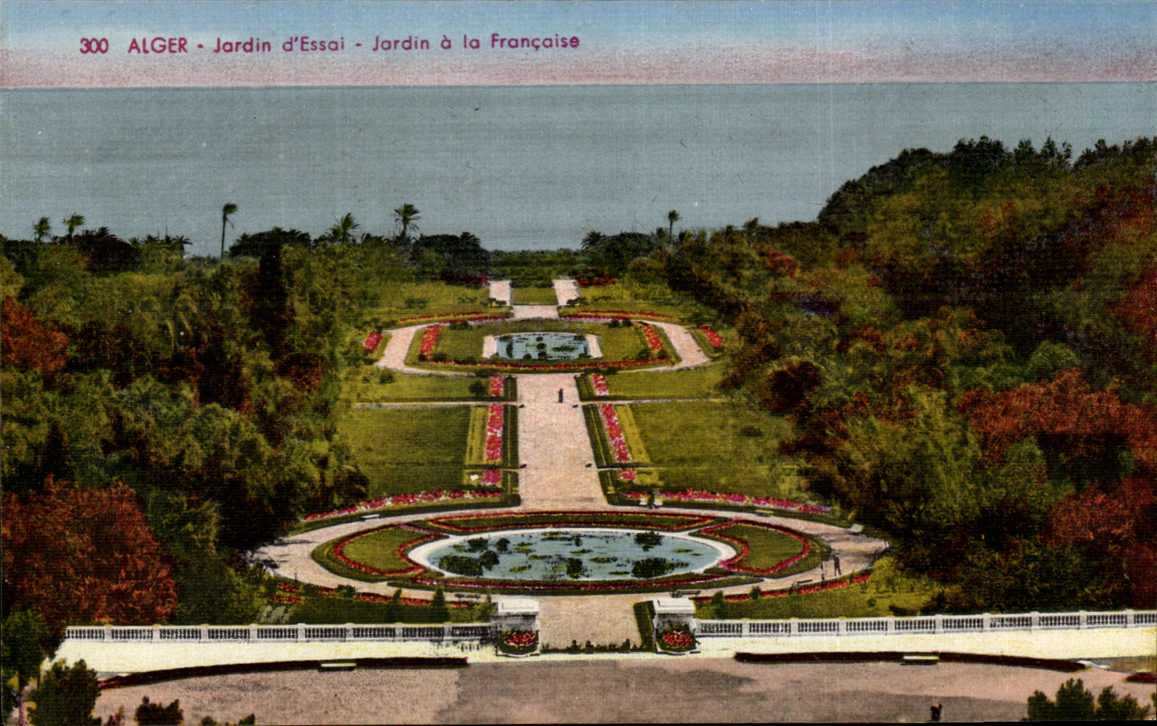 CPA Alger Jardin d Essai Jardin a La Francaise