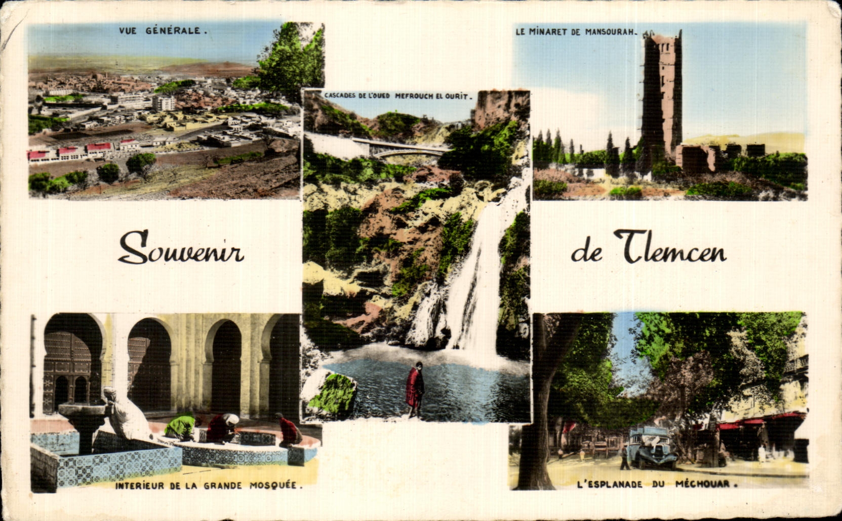 CPA Souvenir de Tlemcen