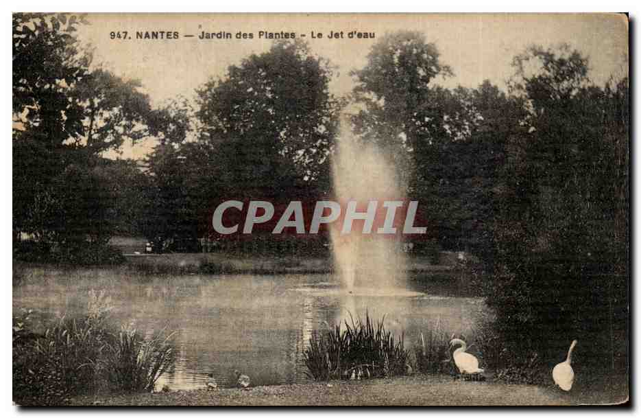 CPA Nantes Jardin des Plantes Le Jet d eau Cygen Swan