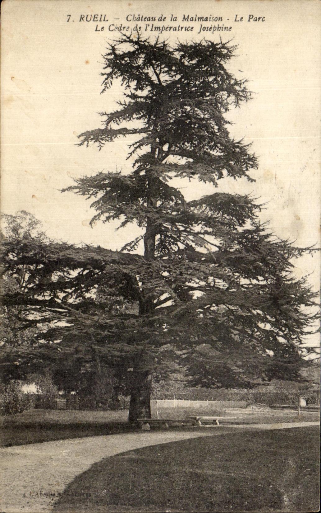 CPA Rueil Chateau de la Malmaison Le Parc Le Cedre de l lmperatrice Josephine