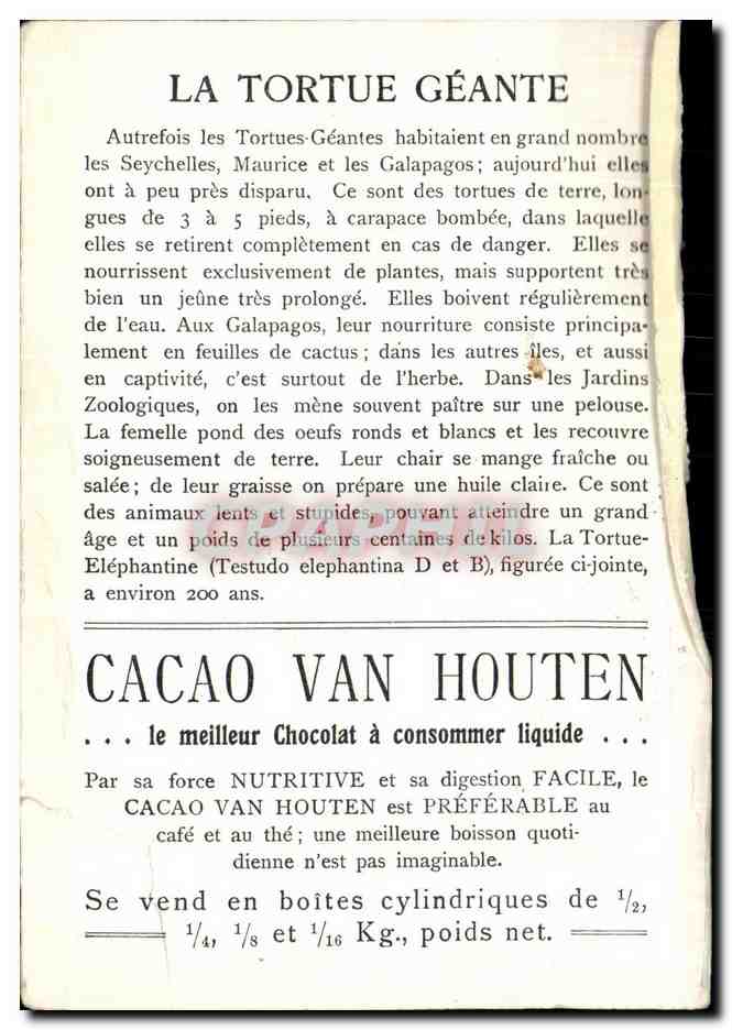 CPA Cacao Van Houten Tortue Geante Turtle — Back