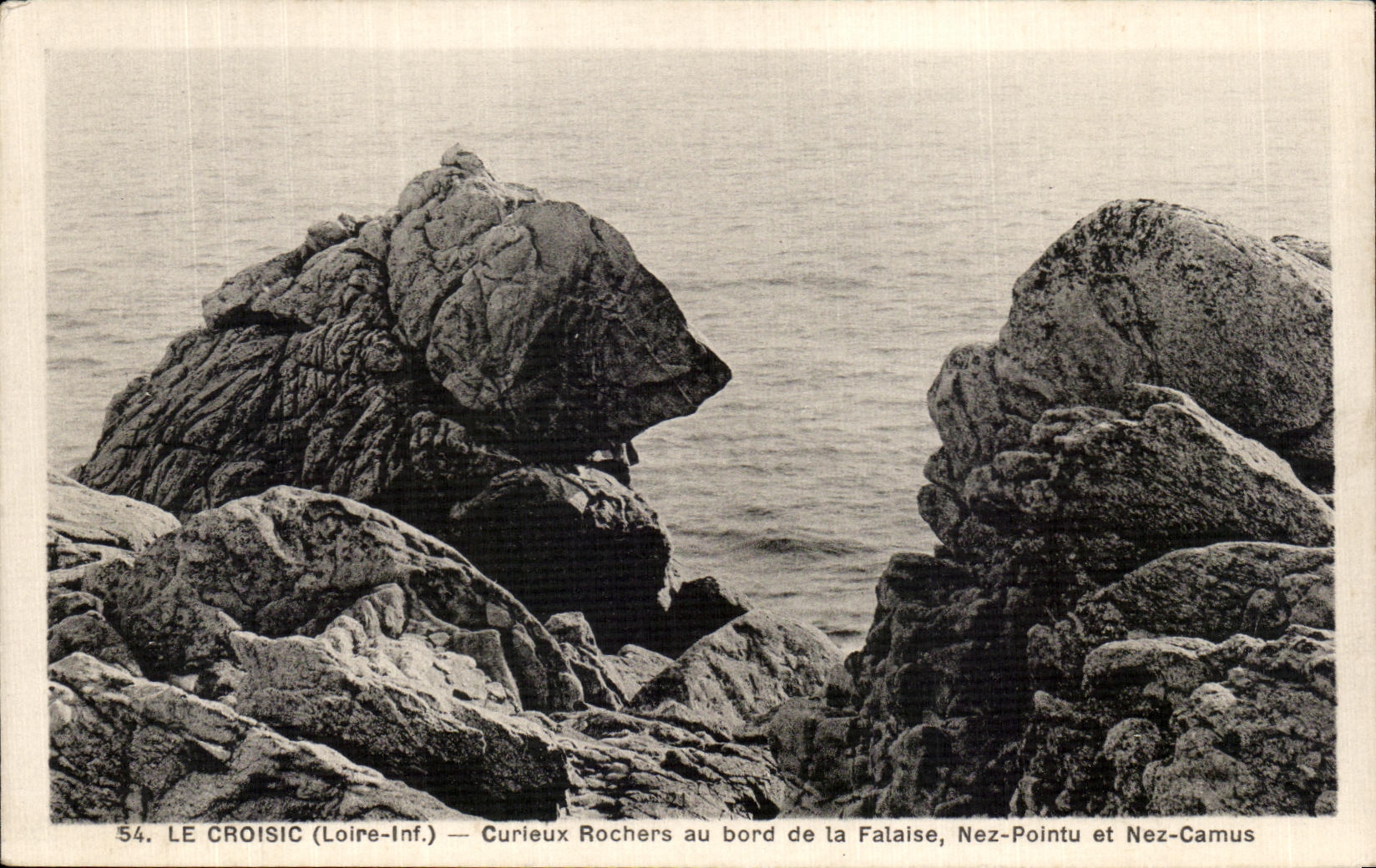 CPA Le Croisic (Loire int) Curieux Rochers au bord de la Falaise Nez Pointu et Nez Camus