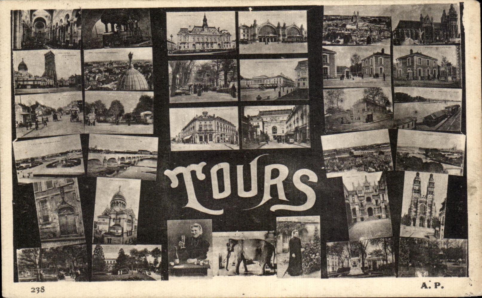 CPA Tours Elephant