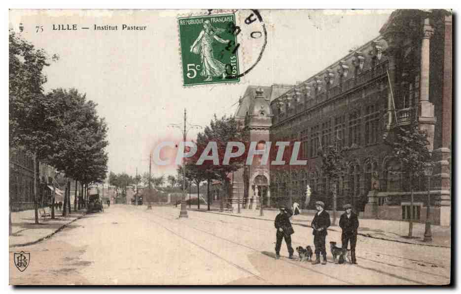 CPA Lille Institut Pasteur Chiens