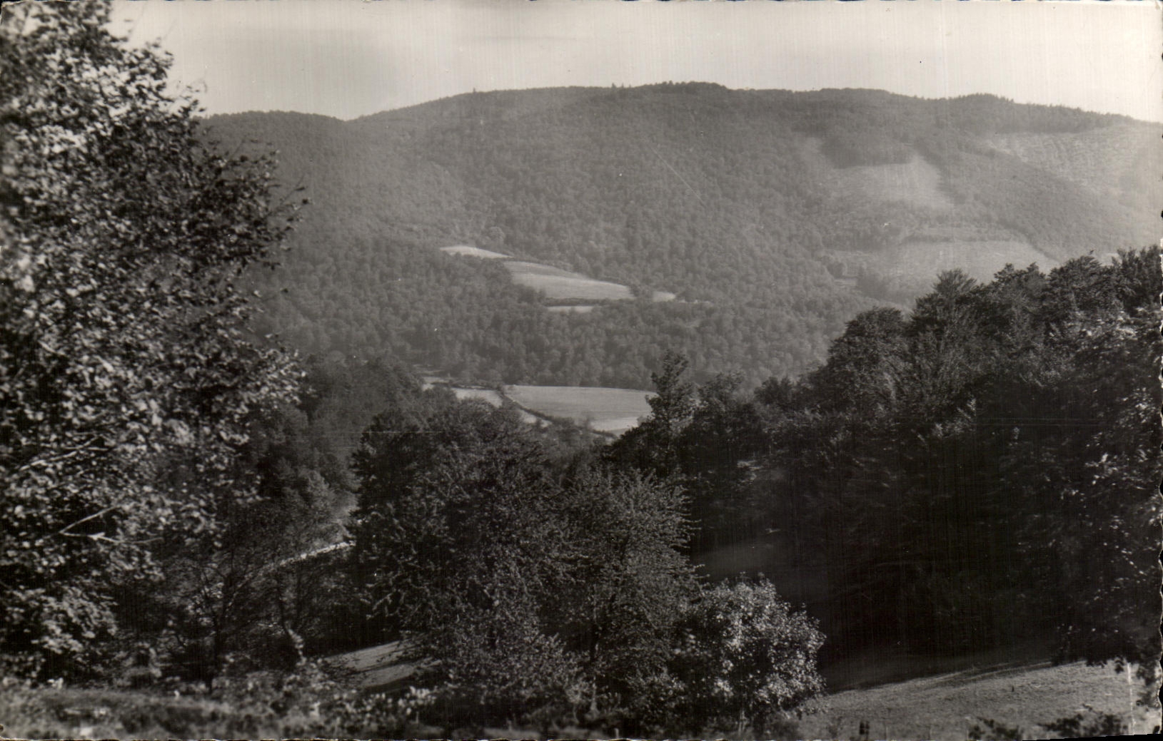 CPA Environs de Fachin Nievre Le Mont Beuvray 