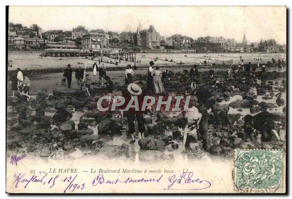 CPA Le Havre Le Boulevard Maritime a maree basse