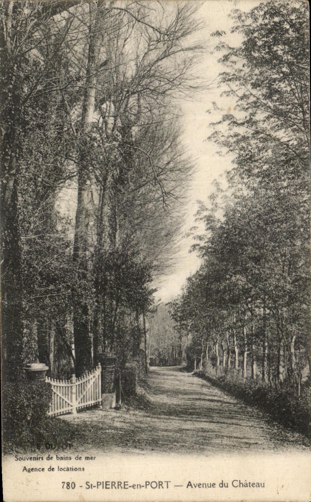 CPA St Pierre en Port Avenue du Chateau