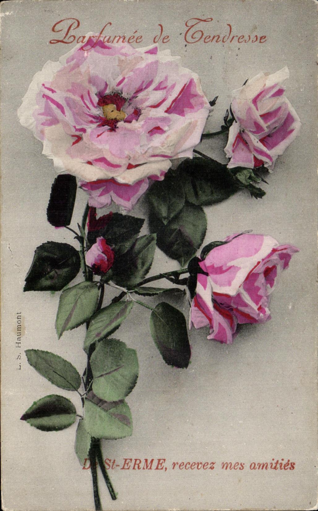 CPA Fantaisie Fleurs De Saint Erme recevez mesamities