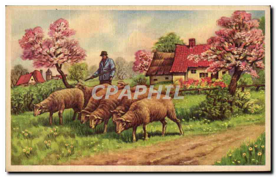 CPA Fantaisie Scene bucolique Moutons !Sheep