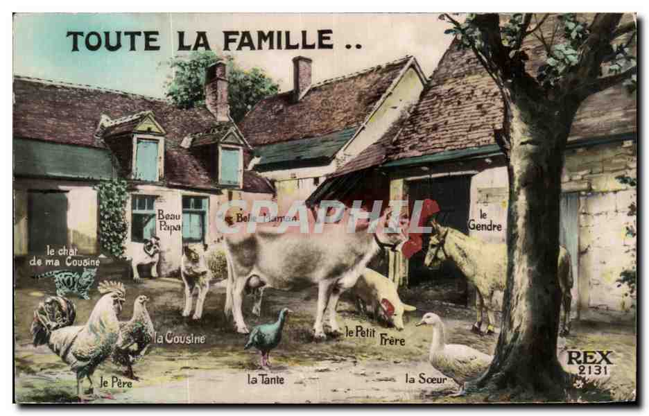 CPA Toute La Famille La ferme Vache Coq Chien 
