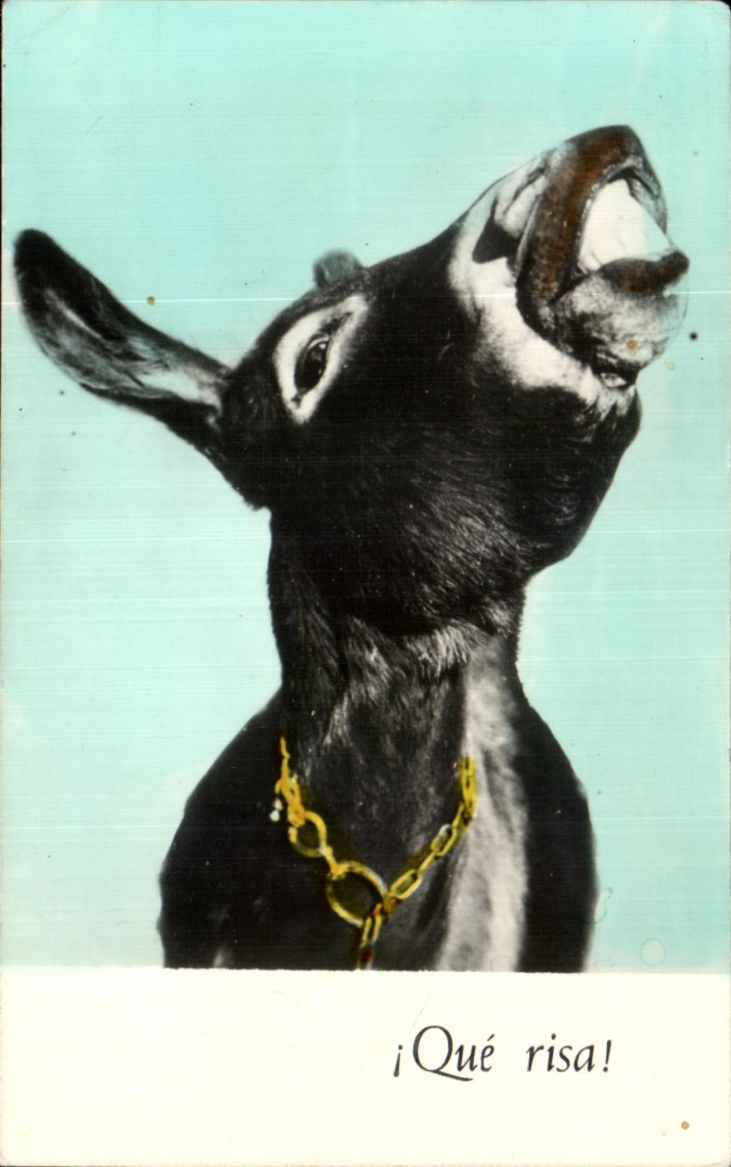 CPA Que risaAne Donkey